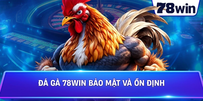 Đá Gà 78WIN bảo mật và ổn định