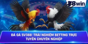 Đá Gà SV388: Trải Nghiệm Betting Trực Tuyến Chuyên Nghiệp