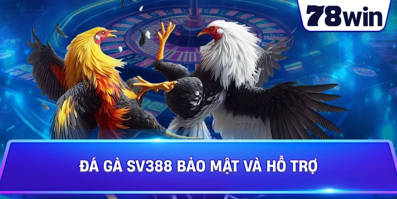 Đá Gà SV388 bảo mật và hỗ trợ