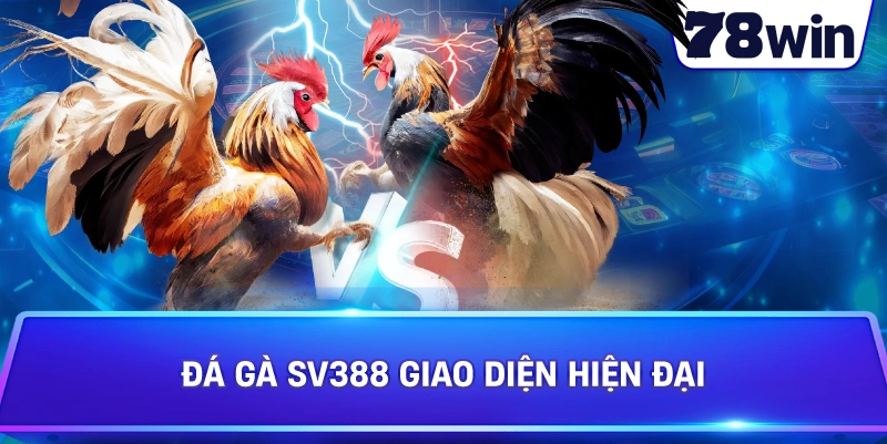 Đá Gà SV388 giao diện hiện đại