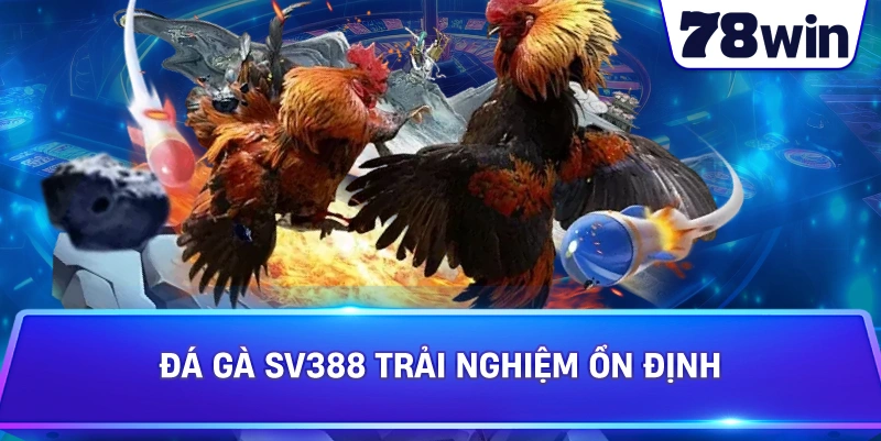 Đá Gà SV388 bảo mật và hỗ trợ