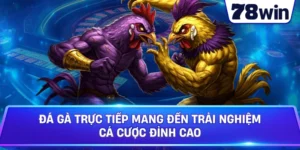 Đá Gà CPC1: Trải Nghiệm Betting Trực Tuyến Chuyên Nghiệp