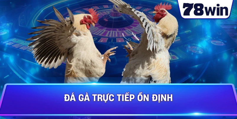 Đá Gà CPC1 trải nghiệm ổn định