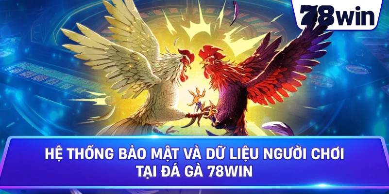 Hệ thống bảo mật và dữ liệu người chơi tại Đá Gà 78WIN